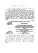 Referāts 'Stratēģijas izvēle un realizēšana uzņēmumā SIA "Cido Grupa"', 18.