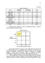 Referāts 'Stratēģijas izvēle un realizēšana uzņēmumā SIA "Cido Grupa"', 21.