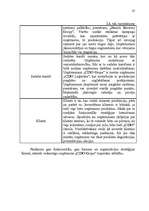 Referāts 'Stratēģijas izvēle un realizēšana uzņēmumā SIA "Cido Grupa"', 25.