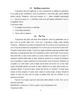 Referāts 'Drāmas terapija pusaudžu vecumā', 11.