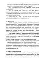 Konspekts 'Starptautiskā tirdzniecība un tās politikas veidi', 16.