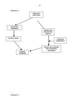 Referāts 'Cilmes šūnas, to vieta mūsdienu medicīnā un cilvēka dzīvē', 20.