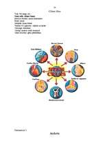 Referāts 'Cilmes šūnas, to vieta mūsdienu medicīnā un cilvēka dzīvē', 21.