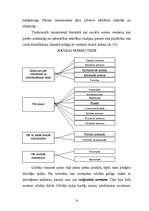 Referāts 'Sociālās normas un to klasifikācija', 10.