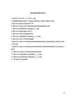 Referāts 'Banku darbība Latvijā 2007.gadā', 20.