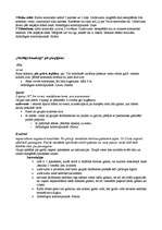 Konspekts 'Nometnes plāns', 4.