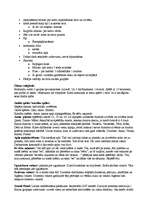 Konspekts 'Nometnes plāns', 6.