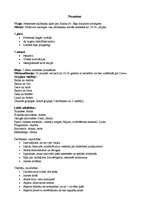 Konspekts 'Nometnes plāns', 8.