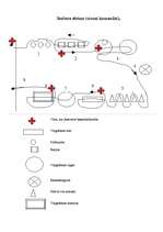 Konspekts 'Stafete', 2.