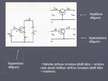 Prezentācija 'Elektriskā strāva pusvadītājos', 14.