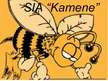 Prezentācija 'Vadības teorijas kursa projekts. SIA "Kamene"', 1.