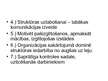 Prezentācija 'Vadības teorijas kursa projekts. SIA "Kamene"', 34.