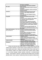 Referāts 'Piesārņojuma avotu un to minimizācijas iespēju analīze stikla rūpniecībā', 11.