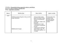 Konspekts 'Aprūpes plāns', 2.