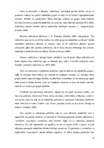 Referāts 'Komunikācija jauniešu subkultūrā - rokeri', 12.