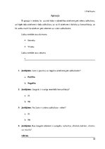 Referāts 'Komunikācija jauniešu subkultūrā - rokeri', 30.