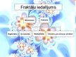 Prezentācija 'Fraktāļi - mūsdienu matemātikas pētījumu objekts', 6.