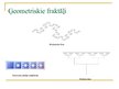 Prezentācija 'Fraktāļi - mūsdienu matemātikas pētījumu objekts', 8.