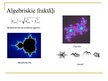 Prezentācija 'Fraktāļi - mūsdienu matemātikas pētījumu objekts', 9.