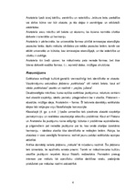 Referāts 'Estētikas posmi', 6.