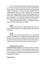 Referāts 'Metodika un metodoloģija', 6.