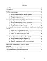 Diplomdarbs 'Speciālā procesuālā aizsardzība kriminālprocesā', 4.