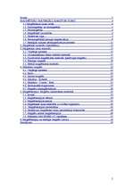 Referāts 'Magnētterapija', 2.