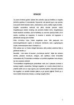 Referāts 'Magnētterapija', 3.