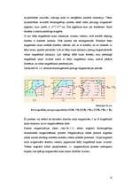 Referāts 'Magnētterapija', 10.