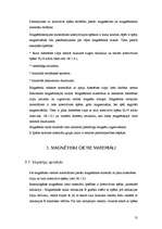 Referāts 'Magnētterapija', 13.