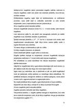 Referāts 'Magnētterapija', 18.