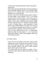 Referāts 'Magnētterapija', 19.