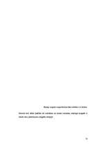 Referāts 'Magnētterapija', 20.