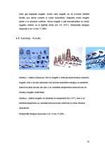 Referāts 'Magnētterapija', 24.