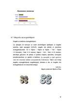 Referāts 'Magnētterapija', 29.