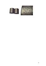 Referāts 'Magnētterapija', 31.