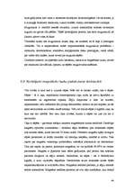 Referāts 'Magnētterapija', 44.