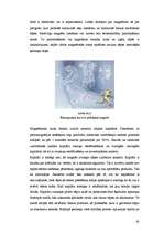 Referāts 'Magnētterapija', 45.