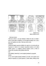 Referāts 'Magnētterapija', 48.