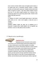 Referāts 'Magnētterapija', 49.