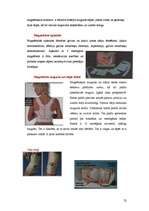 Referāts 'Magnētterapija', 52.