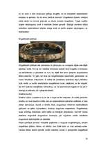 Referāts 'Magnētterapija', 54.