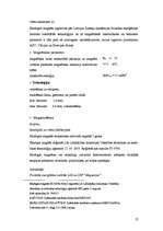 Referāts 'Magnētterapija', 57.