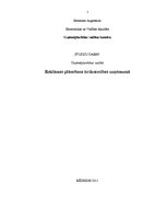 Referāts 'Reklāmas plānošana tirdzniecības uzņēmumā', 1.