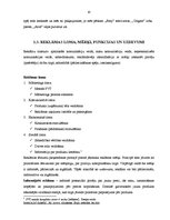 Referāts 'Reklāmas plānošana tirdzniecības uzņēmumā', 10.