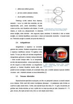 Referāts 'Vidusskolēnu redzes refrakcijas slimības', 11.