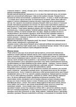 Referāts 'Древнегреческая одежда', 3.