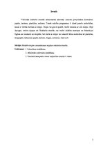 Konspekts 'Izstrādājumi no stieples', 5.