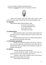 Konspekts 'Izstrādājumi no stieples', 13.