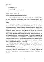 Konspekts 'Lietišķas sievietes imidžs', 14.